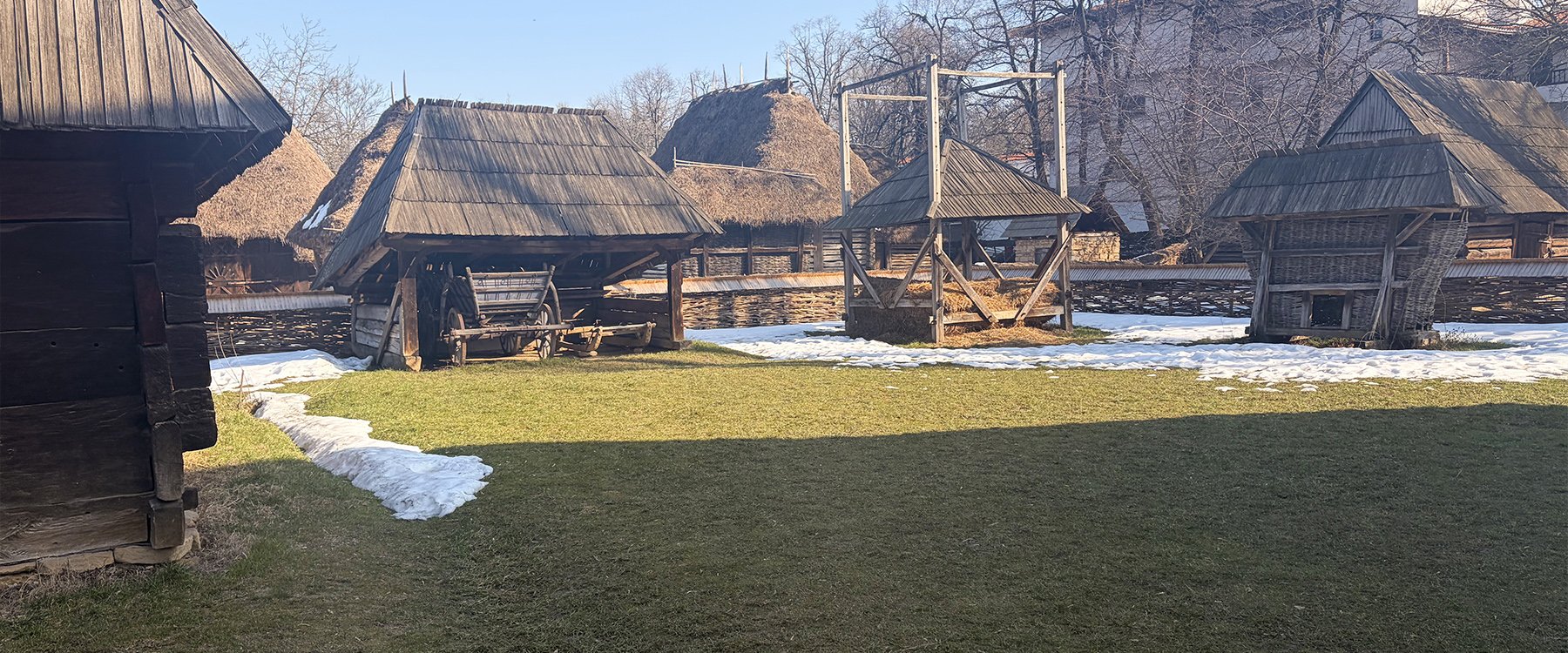 Escape The Village